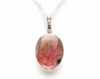 Real Butterfly Wing Pendant Sterling Sivler Pink Glasswing Butterfly