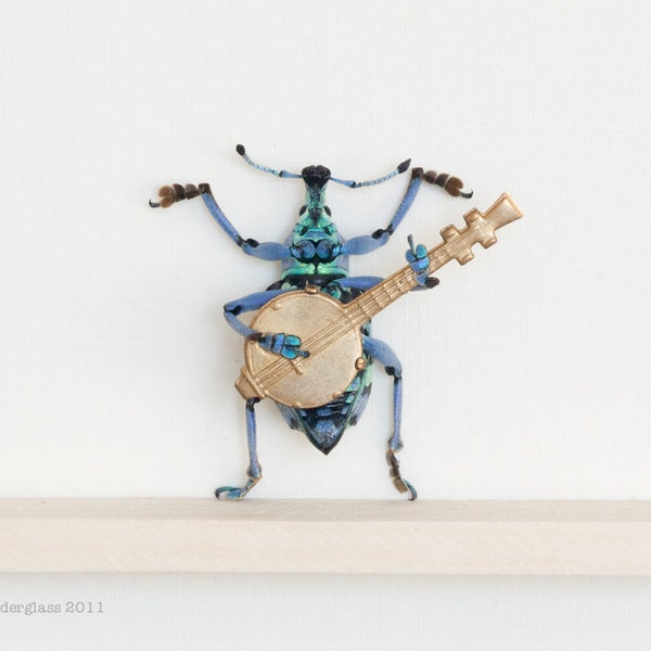 Real Beetle Playing the Banjo Taxidermy Insect Art Display