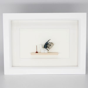 Beetle Sitting on Toilet Dung Beetle Insect Art Diorama 6x8 White Frame