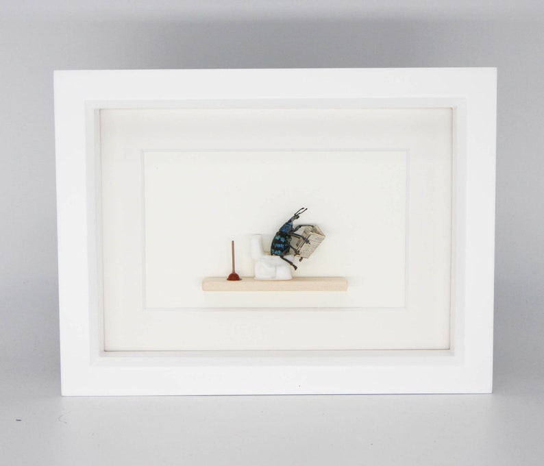 Beetle Sitting on Toilet Dung Beetle Insect Art Diorama 6x8 White Frame