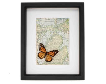Mapa antiguo de Michigan enmarcado con una mariposa monarca real, 9x11 pulgadas, cristal con protección UV.