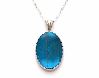 Sterling Silver Real Blue Morpho Butterfly Wing Oval Jewelry