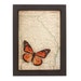 see more listings in the Butterflies & OLD MAPS section