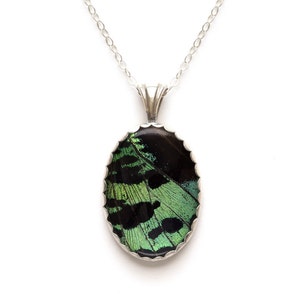 Insect Necklace Pendant Sunset Moth Sterling Silver