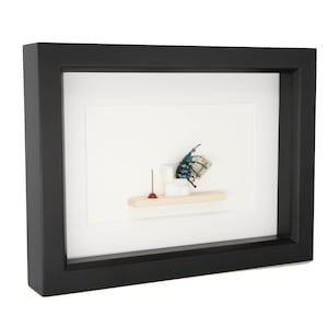 Beetle Sitting on Toilet Dung Beetle Insect Art Diorama 6x8 image 3
