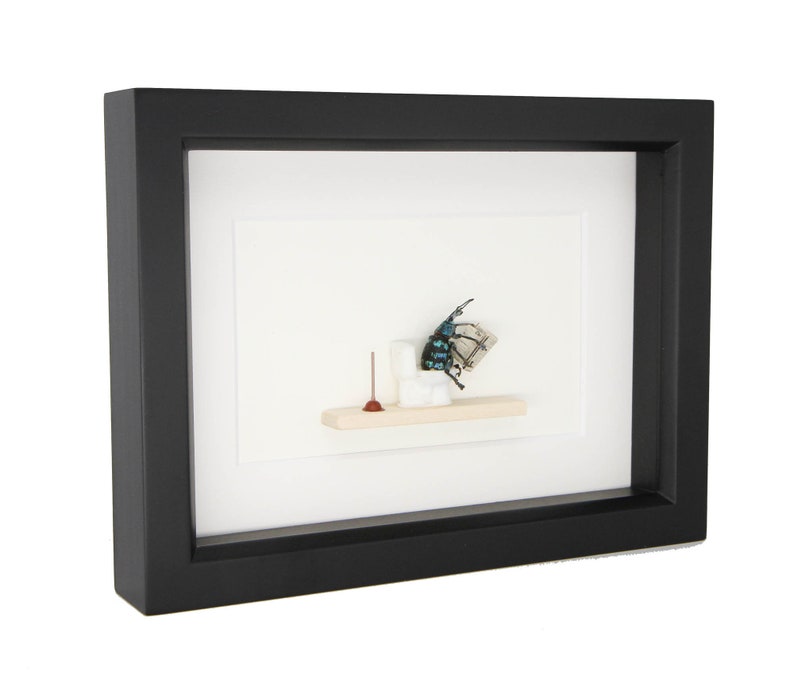 Beetle Sitting on Toilet Dung Beetle Insect Art Diorama 6x8 image 3