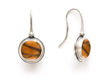 Butterfly Wing Earrings Real Insect Monarch Butterfly Sterling Silver