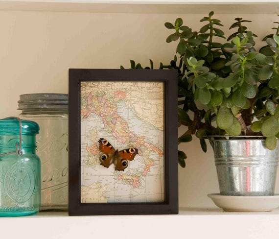 Framed Vintage Italy Map Art: Butterfly Display, Honeymoon Gift