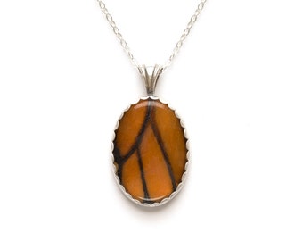 Real Monarch Butterfly Wing Necklace Sterling Silver Pendant