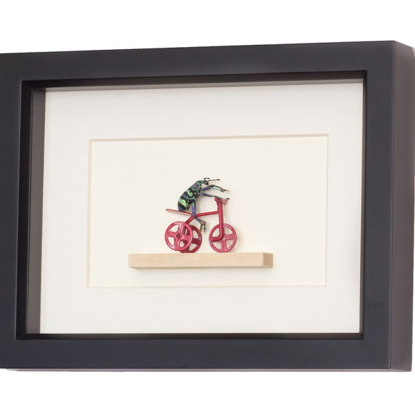 Insect Art Taxidermy Beetle Riding Red Tricycle Natural History