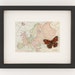 see more listings in the Butterflies & OLD MAPS section