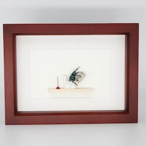 Beetle Sitting on Toilet Dung Beetle Insect Art Diorama 6x8 Walnut Frame