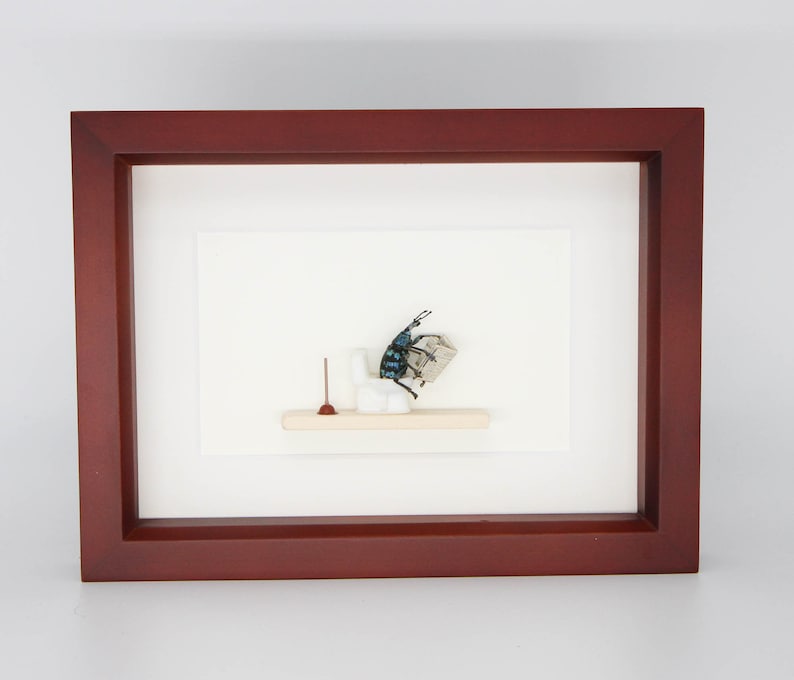 Beetle Sitting on Toilet Dung Beetle Insect Art Diorama 6x8 Walnut Frame