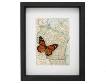 Framed Antique Map Wisconsin with Native Monarch Butterfly UV Blocking Glass