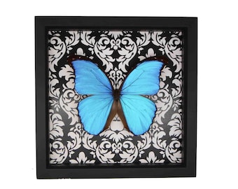 Cuadro decorativo de mariposas con estampado de damasco y protección UV, 9x9 pulgadas.