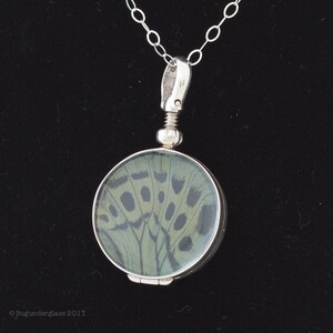 Puede incluir: Un collar con un medallón de plata que contiene un diseño de ala de mariposa verde y negra. El medallón está abierto y el ala de mariposa es visible.
