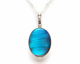 Collier insecte morpho bleu bijoux ailes de papillon