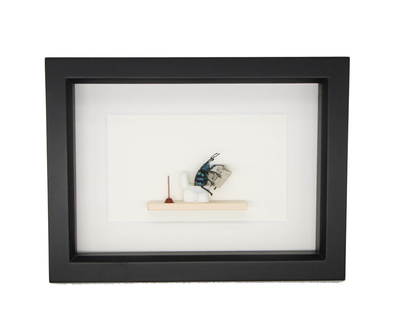 Beetle Sitting on Toilet Dung Beetle Insect Art Diorama 6x8 Black Frame
