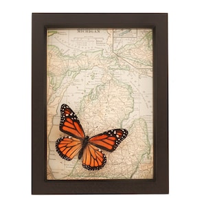 Vintage Map of Michigan with Real Monarch Butterfly