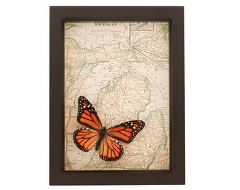 Vintage Map of Michigan with Real Monarch Butterfly