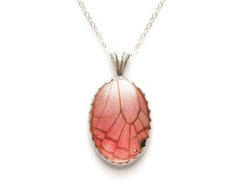 Butterfly Wing Jewelry Pendant Pink Glasswing Sterling Silver