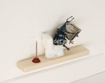 Beetle Sitting on Toilet Dung Beetle Insect Art Diorama 6x8