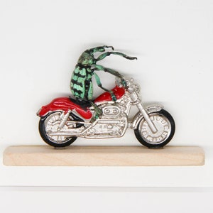 May include: A green and black beetle riding a silver and red toy motorcycle. The motorcycle has a wooden base.