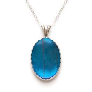 Real Butterfly Wing Jewelry Pendant Necklace BLUE MORPHO Sterling Silver
