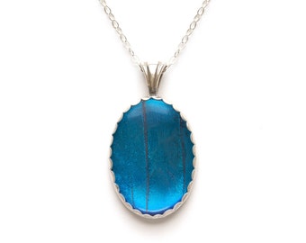 Sterling Silber Blau Morpho Echte Schmetterlings-Flügel-Halskette
