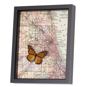 Puede incluir: Un mapa vintage enmarcado de Chicago con una mariposa monarca preservada montada en el mapa. El mapa muestra los alrededores de Chicago e incluye los nombres de las ciudades y pueblos circundantes.