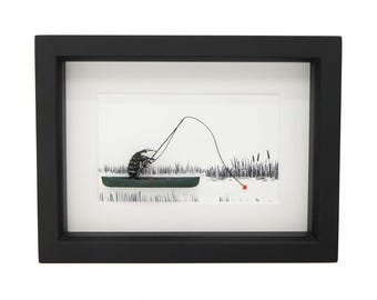 Real Beetle Fishing in a Canoe Insect Diorama 6x8 UV Blocking Glass Display