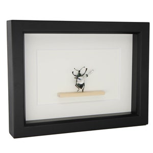 real beetle playing banjo insect shadowbox 6x8 frame