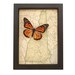 see more listings in the Butterflies & OLD MAPS section