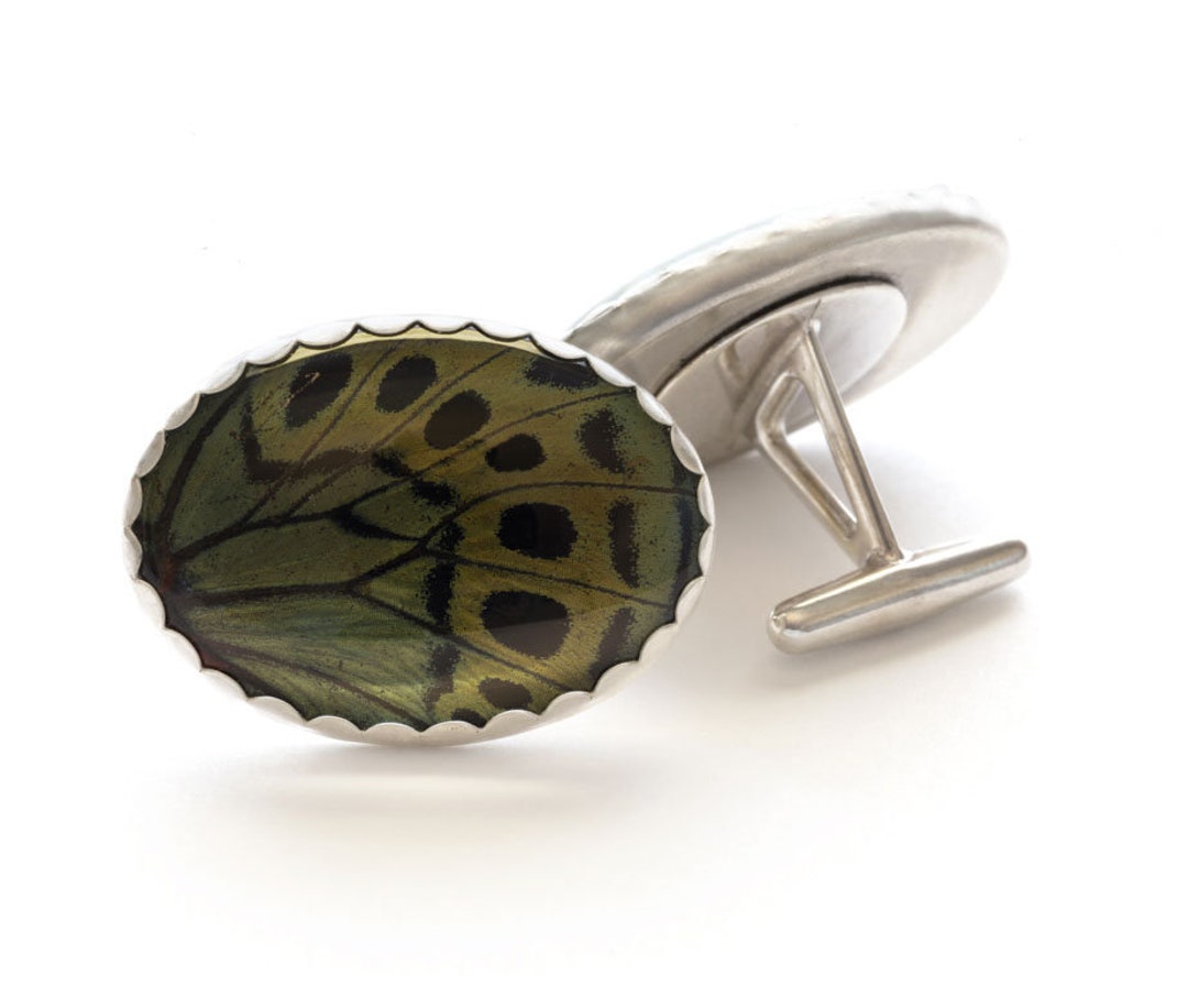 Darwin Butterfly Wing Cuff Links -