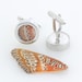 see more listings in the Butterfly Wing JEWELRY section