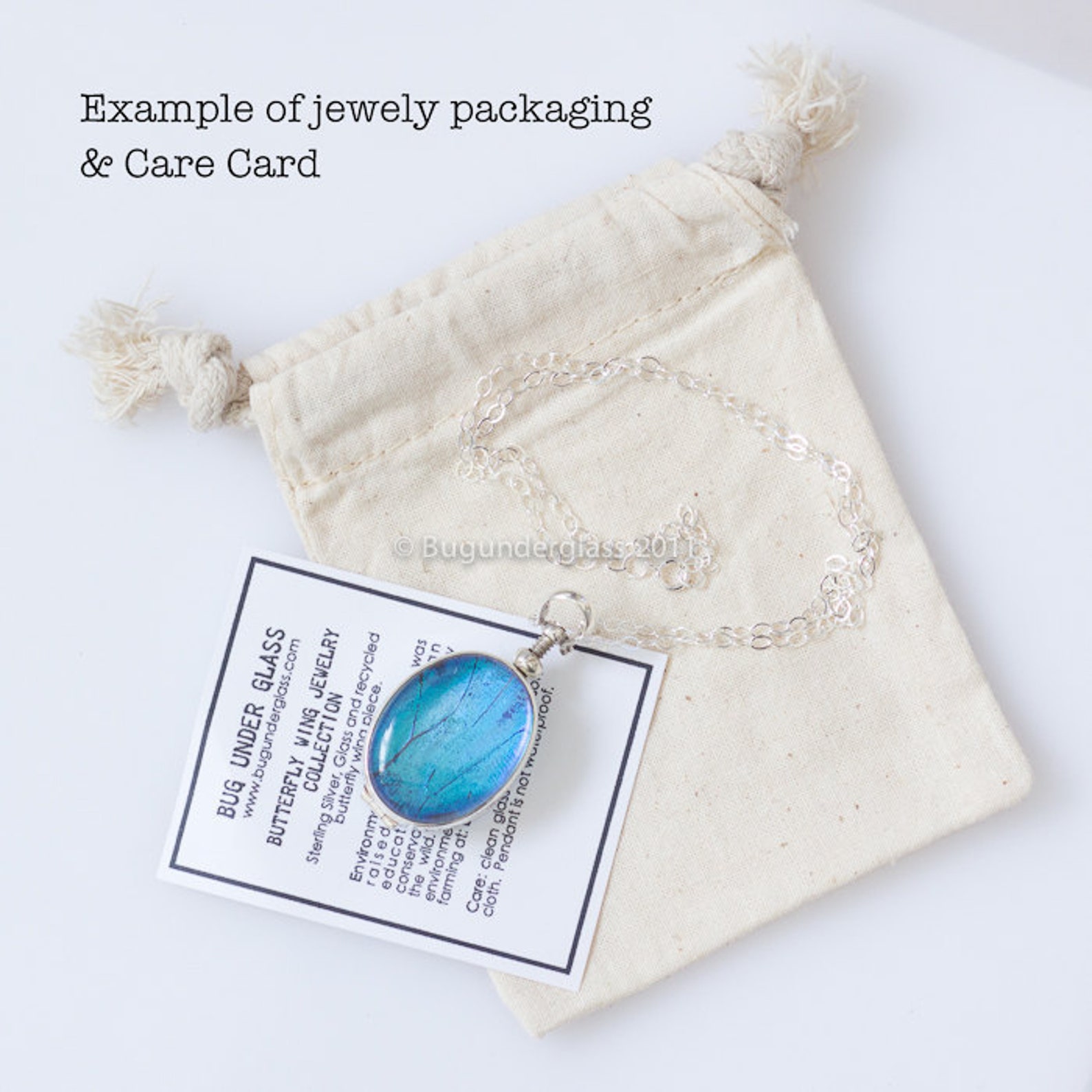 Real Butterfly Jewelry Charles Darwin Pendant Etsy