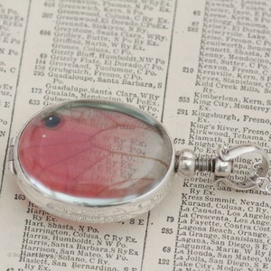 Pink Glasswing Butterfly Wing Pendant