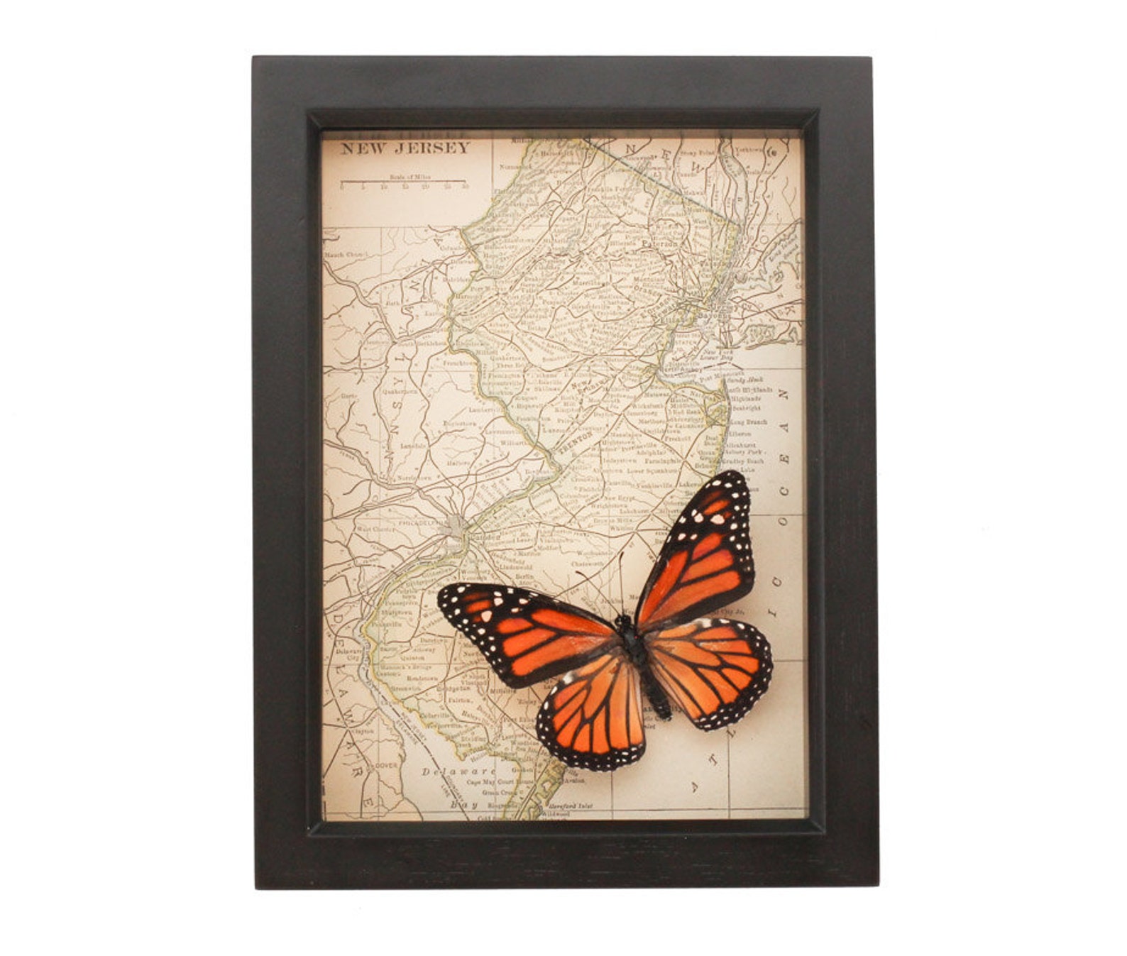 Framed maps. Framed maps