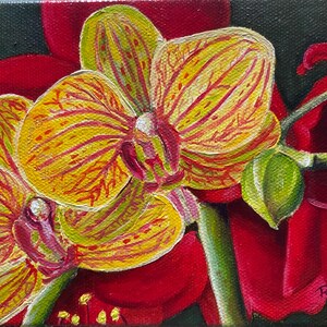 Christmas Bloom - 5x7 acrylic painting
