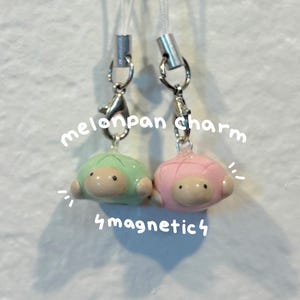 Pink and Green Melonpan Turtle Clay Charm Magnetic Keychain!