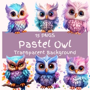 Paquete de 15 imágenes prediseñadas de búho pastel: descarga digital PNG, pegatinas imprimibles de búho rosa, diseños de sublimación de bosque y scrapbooking.