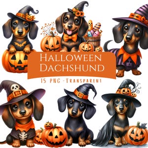 Pode incluir: Ilustração digital de seis cachorros dachshund vestidos com fantasias de Halloween. Cada cão usa um chapéu de bruxa e está acompanhado por uma abóbora esculpida. A imagem inclui o texto "Halloween Dachshund" e "15 PNG - Transparent".