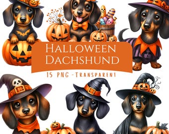 Halloween Dachshund Clipart Bundle 15 PNG High Quality Watercolor Spooky Season Doxie Digital Download Quirky Halloween Costume Puppy Crafts