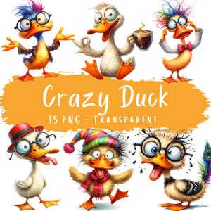 Verrückte Ente Clipart Bundle 15 PNG Hochwertige Aquarell Schrullige Ente Digitaler Download Lustige Entchen DIY Karten Sublimation Druckbare Seiten