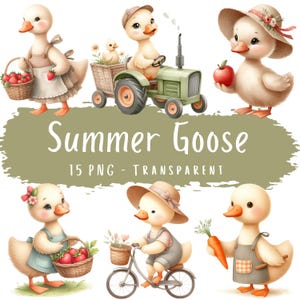 Bundle de 15 cliparts Summer Goose PNG haute qualité aquarelle mignon bébé oies tracteur agricole en téléchargement numérique Animaux de la campagne pépinière Art mural