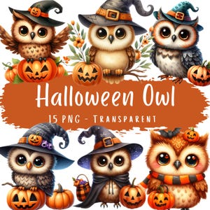 Halloween Owl Clipart Bundle 15 PNG High Quality Watercolor Cute Owl Digital Download Fall Owl Printable Autumn Woodland Junk Journal Images