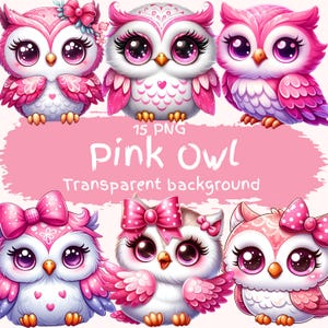 Paquete de 15 imágenes prediseñadas de búho rosa en formato PNG de alta calidad. Ilustraciones de búhos de dibujos animados. Descarga de arte digital de búhos pastel. Imprimibles para manualidades digitales en formato PNG.