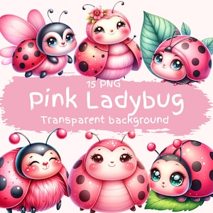 Pacchetto di clipart di coccinelle rosa, 15 PNG, di alta qualità, acquerello, piccolo insetto pastello, download digitale, stampabili, grazioso insetto rosa, arte per scrapbooking