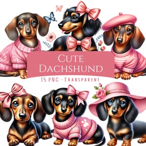 Pacote de clipart fofo de dachshund 15 arquivos PNG adorável coquete arco salsicha cachorro gráficos digitais aquarela para impressão weenie junk journal pages
