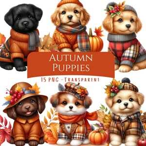 May include: A digital illustration featuring six adorable puppies dressed in autumn attire. The puppies are wearing sweaters, scarves, and hats, with pumpkins and fall leaves surrounding them. The text "AUTUMN PUPPIES" is displayed on an orange banner, with "15 PNG - TRANSPARENT" below.